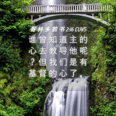 Picture 04 - 哥 林 多 前 书 2:16 CUVS - 谁 曾 知 道 主 的 心 去 教 导 他 呢 - Bible Verse Picture