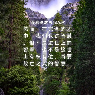 Picture 04 - 哥 林 多 前 书 2:6 CUVS - 然 而 ， 在 完 全 的 人 中 ， 我 们 - Bible Verse Picture