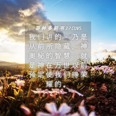 Picture 04 - 哥 林 多 前 书 2:7 CUVS - 我 们 讲 的 ， 乃 是 从 前 所 隐 藏 - Bible Verse Picture
