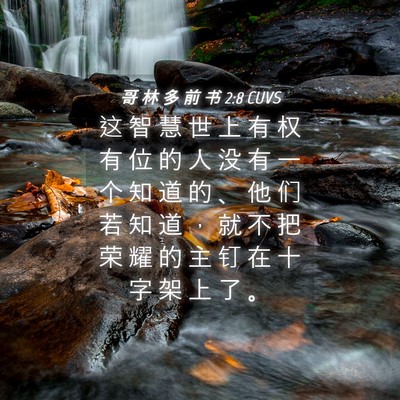 Picture 04 - 哥 林 多 前 书 2:8 CUVS - 这 智 慧 世 上 有 权 有 位 的 人 没 - Bible Verse Picture