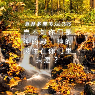 Picture 04 - 哥 林 多 前 书 3:16 CUVS - 岂 不 知 你 们 是 神 的 殿 ， 神 的 - Bible Verse Picture