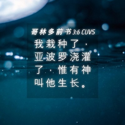 Picture 04 - 哥 林 多 前 书 3:6 CUVS - 我 栽 种 了 ， 亚 波 罗 浇 灌 了 ， - Bible Verse Picture