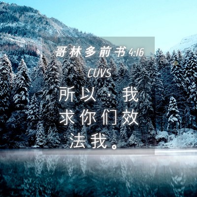 Picture 04 - 哥 林 多 前 书 4:16 CUVS - 所 以 ， 我 求 你 们 效 法 我 - Bible Verse Picture