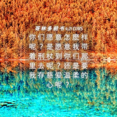 Picture 04 - 哥 林 多 前 书 4:21 CUVS - 你 们 愿 意 怎 麽 样 呢 ？ 是 愿 意 - Bible Verse Picture