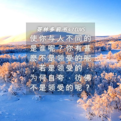 Picture 04 - 哥 林 多 前 书 4:7 CUVS - 使 你 与 人 不 同 的 是 谁 呢 ？ 你 - Bible Verse Picture
