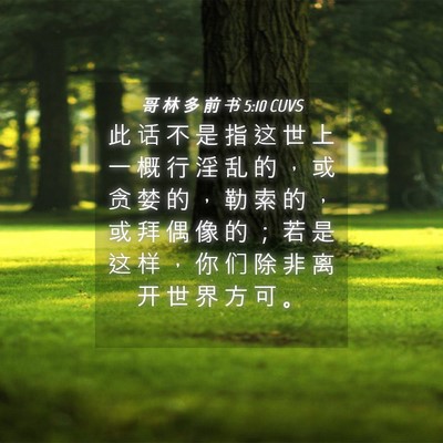 Picture 04 - 哥 林 多 前 书 5:10 CUVS - 此 话 不 是 指 这 世 上 一 概 行 淫 - Bible Verse Picture