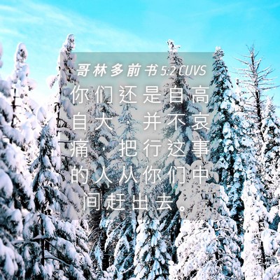 Picture 04 - 哥 林 多 前 书 5:2 CUVS - 你 们 还 是 自 高 自 大 ， 并 不 哀 - Bible Verse Picture