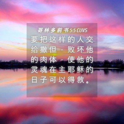 Picture 04 - 哥 林 多 前 书 5:5 CUVS - 要 把 这 样 的 人 交 给 撒 但 ， 败 - Bible Verse Picture