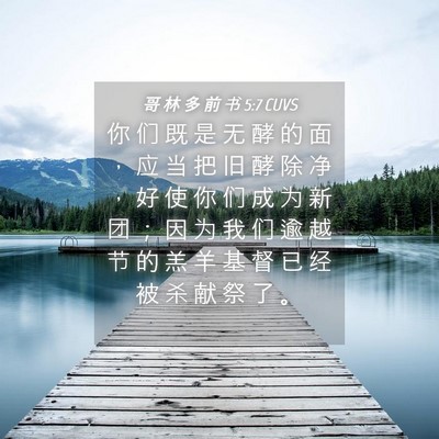 Picture 04 - 哥 林 多 前 书 5:7 CUVS - 你 们 既 是 无 酵 的 面 ， 应 当 把 - Bible Verse Picture