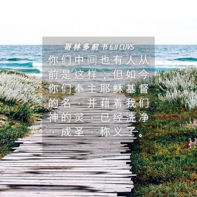 Picture 04 - 哥 林 多 前 书 6:11 CUVS - 你 们 中 间 也 有 人 从 前 是 这 样 - Bible Verse Picture
