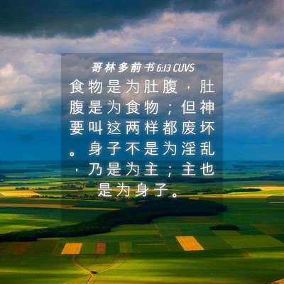 Picture 04 - 哥 林 多 前 书 6:13 CUVS - 食 物 是 为 肚 腹 ， 肚 腹 是 为 食 - Bible Verse Picture
