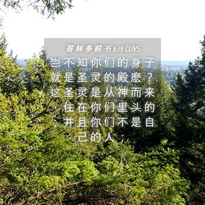 Picture 04 - 哥 林 多 前 书 6:19 CUVS - 岂 不 知 你 们 的 身 子 就 是 圣 灵 - Bible Verse Picture