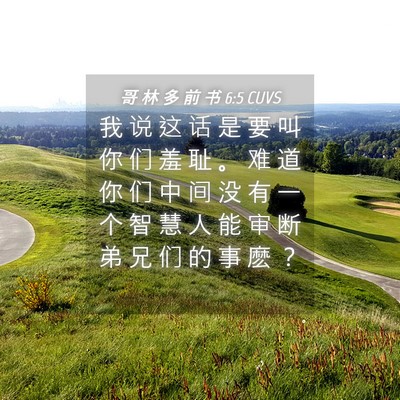 Picture 04 - 哥 林 多 前 书 6:5 CUVS - 我 说 这 话 是 要 叫 你 们 羞 耻 。 - Bible Verse Picture