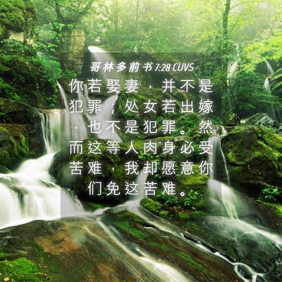 Picture 04 - 哥 林 多 前 书 7:28 CUVS - 你 若 娶 妻 ， 并 不 是 犯 罪 ； 处 - Bible Verse Picture