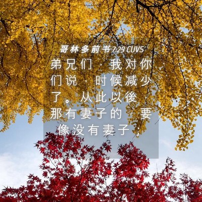 Picture 04 - 哥 林 多 前 书 7:29 CUVS - 弟 兄 们 ， 我 对 你 们 说 ， 时 候 - Bible Verse Picture