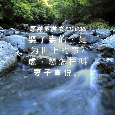 Picture 04 - 哥 林 多 前 书 7:33 CUVS - 娶 了 妻 的 ， 是 为 世 上 的 事 ? 虑 - Bible Verse Picture