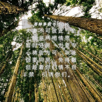 Picture 04 - 哥 林 多 前 书 7:5 CUVS - 夫 妻 不 可 彼 此 亏 负 ， 除 非 两 - Bible Verse Picture