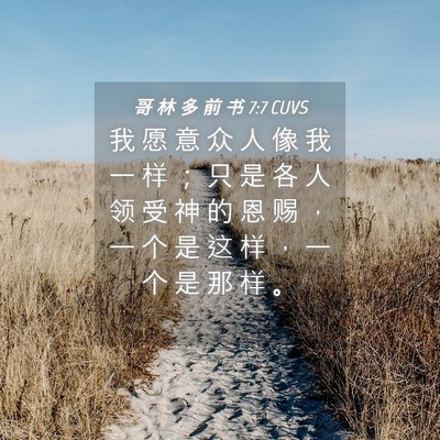 Picture 04 - 哥 林 多 前 书 7:7 CUVS - 我 愿 意 众 人 像 我 一 样 ； 只 是 - Bible Verse Picture