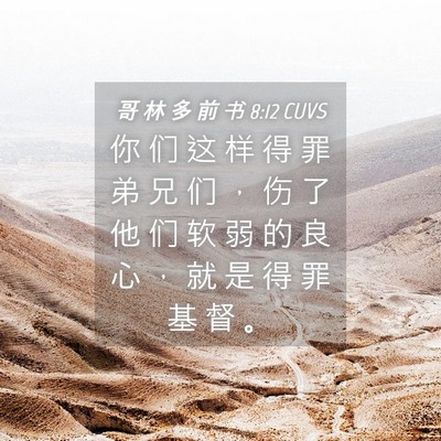 Picture 04 - 哥 林 多 前 书 8:12 CUVS - 你 们 这 样 得 罪 弟 兄 们 ， 伤 了 - Bible Verse Picture