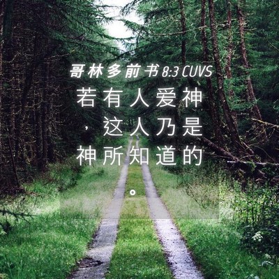 Picture 04 - 哥 林 多 前 书 8:3 CUVS - 若 有 人 爱 神 ， 这 人 乃 是 神 所 - Bible Verse Picture