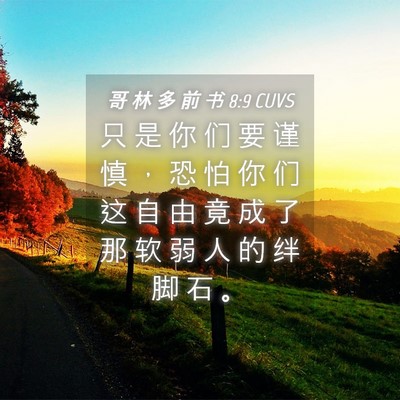 Picture 04 - 哥 林 多 前 书 8:9 CUVS - 只 是 你 们 要 谨 慎 ， 恐 怕 你 们 - Bible Verse Picture