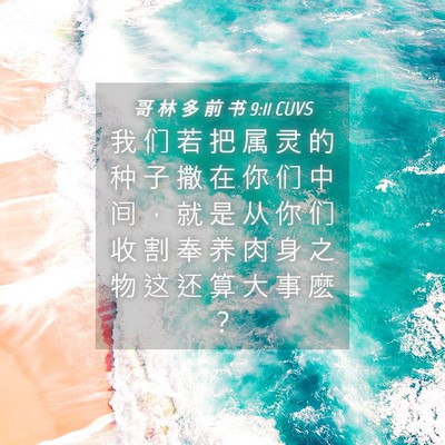 Picture 04 - 哥 林 多 前 书 9:11 CUVS - 我 们 若 把 属 灵 的 种 子 撒 在 你 - Bible Verse Picture