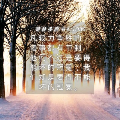 Picture 04 - 哥 林 多 前 书 9:25 CUVS - 凡 较 力 争 胜 的 ， 诸 事 都 有 节 - Bible Verse Picture