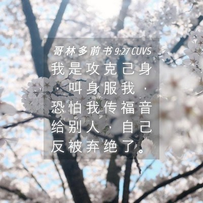 Picture 04 - 哥 林 多 前 书 9:27 CUVS - 我 是 攻 克 己 身 ， 叫 身 服 我 ， - Bible Verse Picture