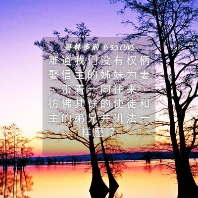 Picture 04 - 哥 林 多 前 书 9:5 CUVS - 难 道 我 们 没 有 权 柄 娶 信 主 的 - Bible Verse Picture