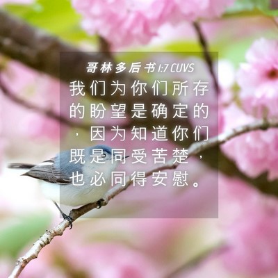 Picture 04 - 哥 林 多 后 书 1:7 CUVS - 我 们 为 你 们 所 存 的 盼 望 是 确 - Bible Verse Picture