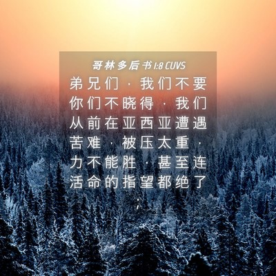 Picture 04 - 哥 林 多 后 书 1:8 CUVS - 弟 兄 们 ， 我 们 不 要 你 们 不 晓 - Bible Verse Picture