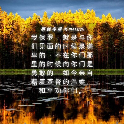 Picture 04 - 哥 林 多 后 书 10:1 CUVS - 我 保 罗 ， 就 是 与 你 们 见 面 的 - Bible Verse Picture