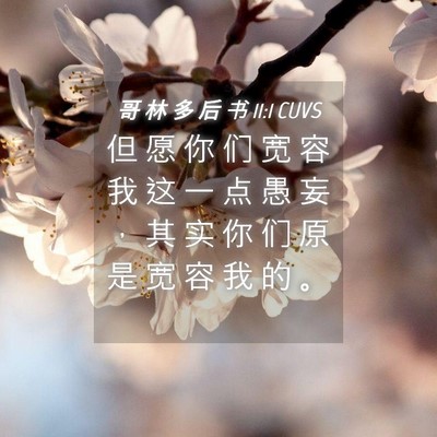 Picture 04 - 哥 林 多 后 书 11:1 CUVS - 但 愿 你 们 宽 容 我 这 一 点 愚 妄 - Bible Verse Picture