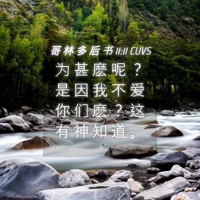 Picture 04 - 哥 林 多 后 书 11:11 CUVS - 为 甚 麽 呢 ？ 是 因 我 不 爱 你 们 - Bible Verse Picture