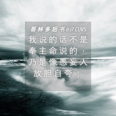 Picture 04 - 哥 林 多 后 书 11:17 CUVS - 我 说 的 话 不 是 奉 主 命 说 的 ， - Bible Verse Picture