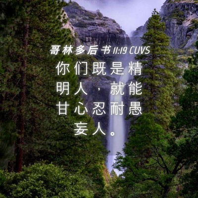 Picture 04 - 哥 林 多 后 书 11:19 CUVS - 你 们 既 是 精 明 人 ， 就 能 甘 心 - Bible Verse Picture