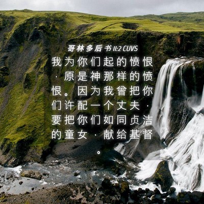 Picture 04 - 哥 林 多 后 书 11:2 CUVS - 我 为 你 们 起 的 愤 恨 ， 原 是 神 - Bible Verse Picture
