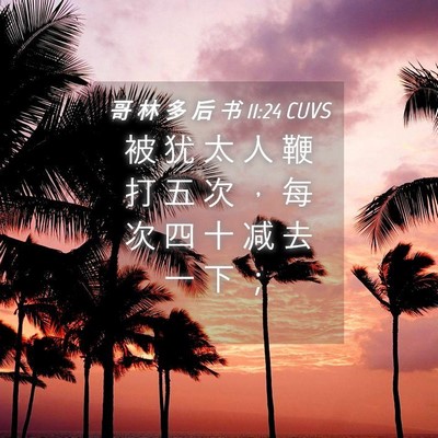 Picture 04 - 哥 林 多 后 书 11:24 CUVS - 被 犹 太 人 鞭 打 五 次 ， 每 次 四 - Bible Verse Picture