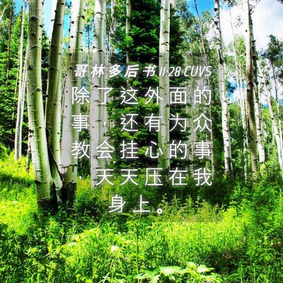 Picture 04 - 哥 林 多 后 书 11:28 CUVS - 除 了 这 外 面 的 事 ， 还 有 为 众 - Bible Verse Picture