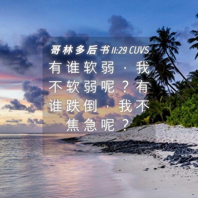 Picture 04 - 哥 林 多 后 书 11:29 CUVS - 有 谁 软 弱 ， 我 不 软 弱 呢 ？ 有 - Bible Verse Picture