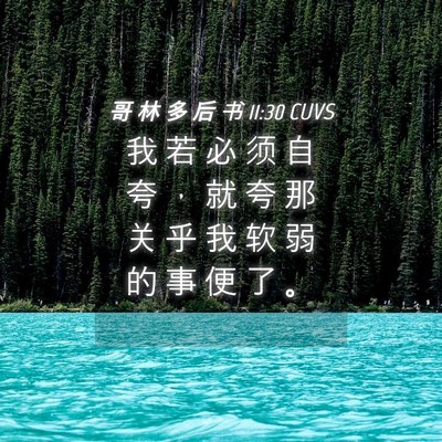 Picture 04 - 哥 林 多 后 书 11:30 CUVS - 我 若 必 须 自 夸 ， 就 夸 那 关 乎 - Bible Verse Picture