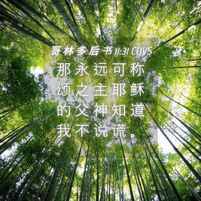 Picture 04 - 哥 林 多 后 书 11:31 CUVS - 那 永 远 可 称 颂 之 主 耶 稣 的 父 - Bible Verse Picture