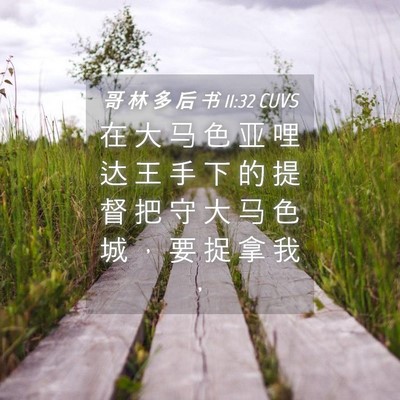 Picture 04 - 哥 林 多 后 书 11:32 CUVS - 在 大 马 色 亚 哩 达 王 手 下 的 提 - Bible Verse Picture