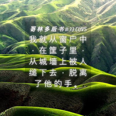 Picture 04 - 哥 林 多 后 书 11:33 CUVS - 我 就 从 窗 户 中 ， 在 筐 子 里 ， - Bible Verse Picture