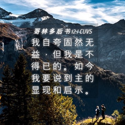 Picture 04 - 哥 林 多 后 书 12:1 CUVS - 我 自 夸 固 然 无 益 ， 但 我 是 不 - Bible Verse Picture