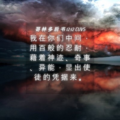 Picture 04 - 哥 林 多 后 书 12:12 CUVS - 我 在 你 们 中 间 ， 用 百 般 的 忍 - Bible Verse Picture