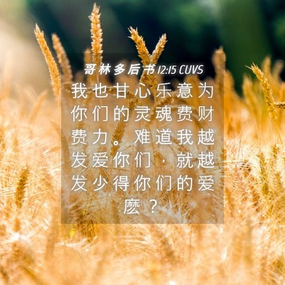 Picture 04 - 哥 林 多 后 书 12:15 CUVS - 我 也 甘 心 乐 意 为 你 们 的 灵 魂 - Bible Verse Picture