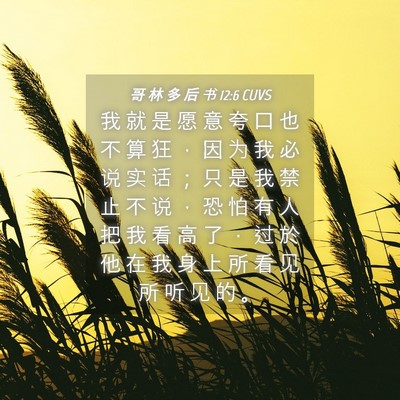 Picture 04 - 哥 林 多 后 书 12:6 CUVS - 我 就 是 愿 意 夸 口 也 不 算 狂 ， - Bible Verse Picture
