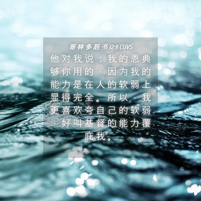 Picture 04 - 哥 林 多 后 书 12:9 CUVS - 他 对 我 说 ： 我 的 恩 典 够 你 用 - Bible Verse Picture