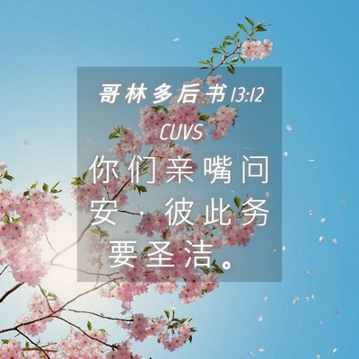 Picture 04 - 哥 林 多 后 书 13:12 CUVS - 你 们 亲 嘴 问 安 ， 彼 此 务 要 圣 - Bible Verse Picture